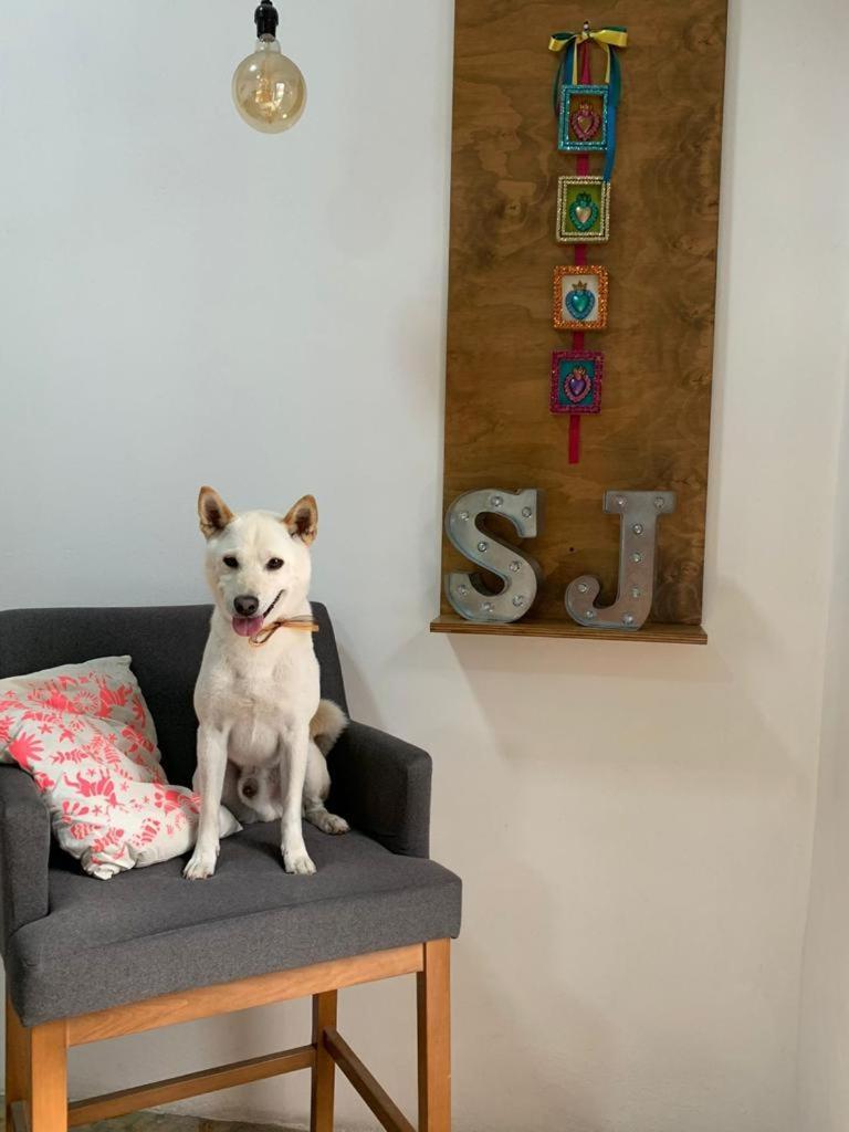 Santa Josefita B&B Cholula Dış mekan fotoğraf
